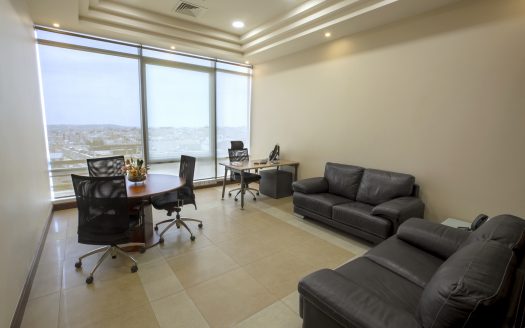 Executive Suites